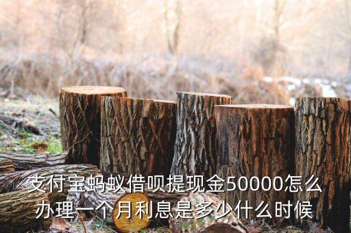 螞蟻借唄怎么提成30萬，支付寶螞蟻借唄提現(xiàn)金50000怎么辦理一個月利息是多少什么時候