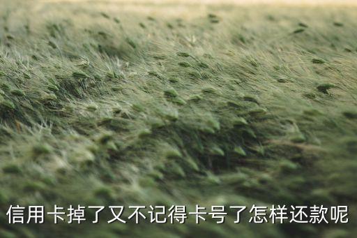 etc信用卡掉了怎么還款，信用卡不見怎還錢