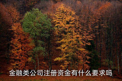 金融類公司注冊資金有什么要求嗎