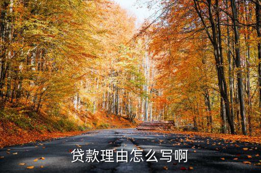 貸款理由怎么寫啊