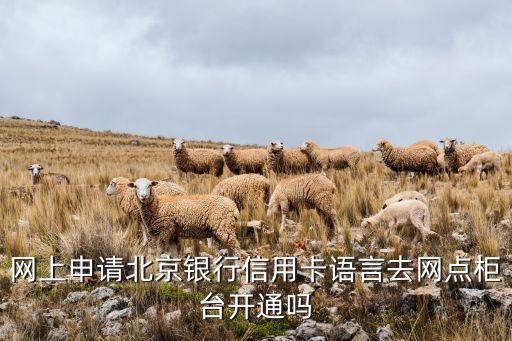 網(wǎng)上申請(qǐng)北京銀行信用卡語(yǔ)言去網(wǎng)點(diǎn)柜臺(tái)開通嗎