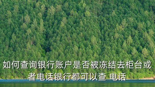 如何查詢銀行賬戶是否被凍結(jié)去柜臺(tái)或者電話銀行都可以查 電話