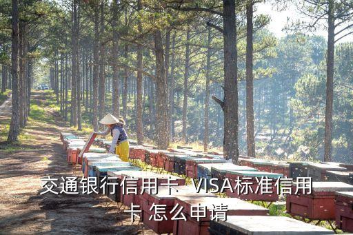 交通銀行visa卡怎么辦，交行或建行的visa 卡申辦 誰有詳細(xì)的步驟