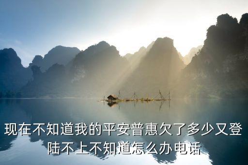 平安普惠欠款怎么查，現(xiàn)在不知道我的平安普惠欠了多少又登陸不上不知道怎么辦電話