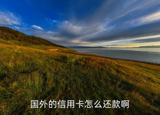 國(guó)外的信用卡怎么還款啊
