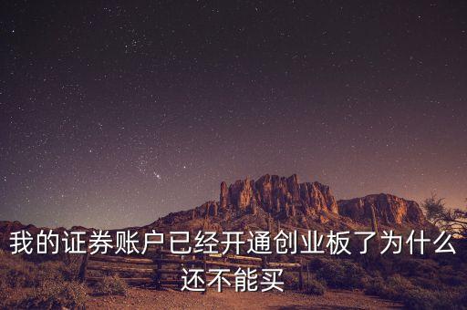 我的證券賬戶已經(jīng)開通創(chuàng)業(yè)板了為什么還不能買