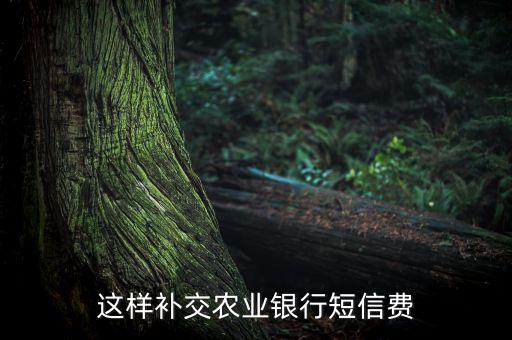 手機(jī)農(nóng)行怎么補(bǔ)交短信，銀行卡短信欠費(fèi)手機(jī)上怎么補(bǔ)交
