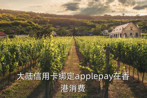 大陸信用卡在香港怎么使用，到港澳消費(fèi)時(shí)怎樣使用建行信用卡