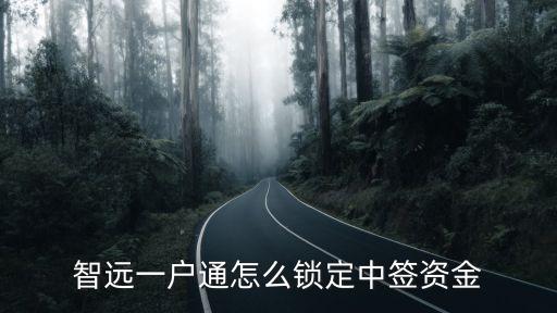 智遠(yuǎn)一戶通怎么鎖定中簽資金