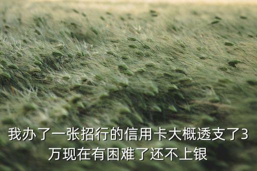 信用卡欠款3萬怎么辦，我信用卡欠了3萬我壓力太大了怎么辦啊我受不了就