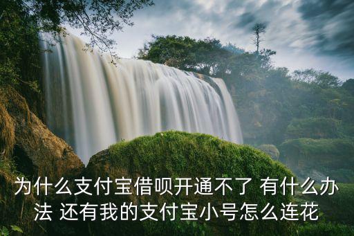 為什么支付寶借唄開通不了 有什么辦法 還有我的支付寶小號怎么連花