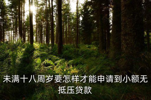 未滿十八周歲要怎樣才能申請到小額無抵壓貸款