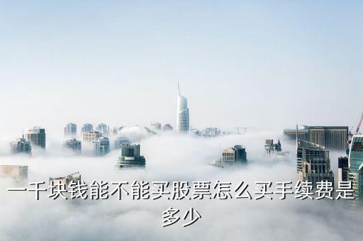 1000元怎么買股票，1000元如何炒股