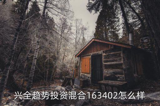 今天興全163402怎么樣，2014興業(yè)全球趨勢基金代碼163402請幫我分析下定投怎么樣