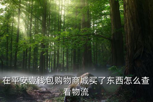 壹錢包買東西發(fā)貨怎么辦，在壹錢包的唯品買東西取消訂單退款能到賬嗎