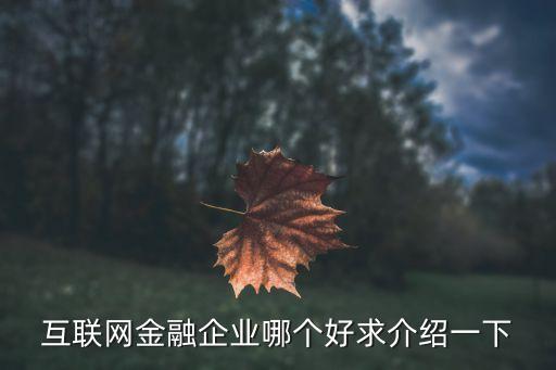 互聯(lián)網(wǎng)金融企業(yè)哪個(gè)好求介紹一下