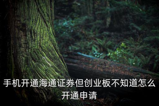 手機開通海通證券但創(chuàng)業(yè)板不知道怎么開通申請