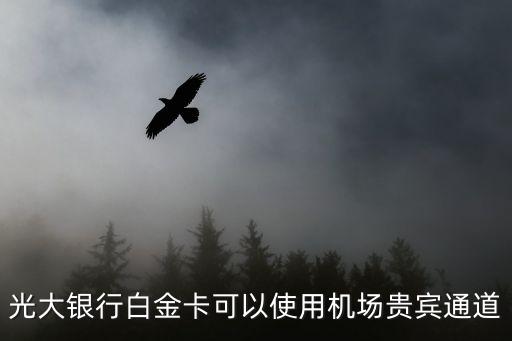 信用卡機(jī)場(chǎng)通道怎么用，中信銀行白金卡vip通道登機(jī)候機(jī)服務(wù)要預(yù)約嗎