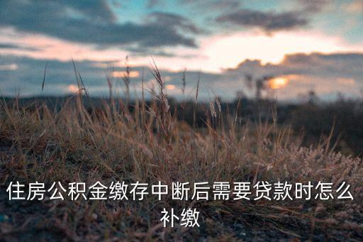 蘇州怎么補(bǔ)繳社保公積金貸款，住房公積金繳存中斷后需要貸款時(shí)怎么補(bǔ)繳