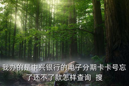 我辦的是中興銀行的電子分期卡卡號忘了還不了款怎樣查詢  搜