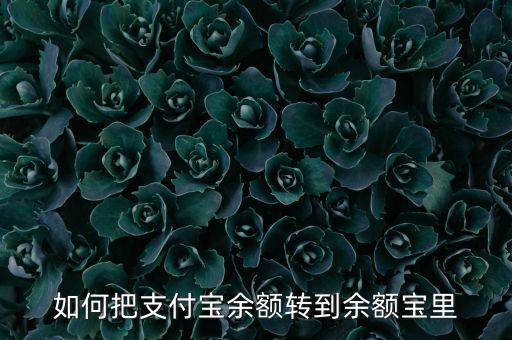 如何把支付寶余額轉到余額寶里