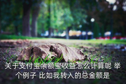 關(guān)于支付寶余額寶收益怎么計(jì)算呢 舉個(gè)例子 比如我轉(zhuǎn)入的總金額是