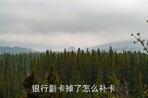 銀行副卡掉了怎么補卡