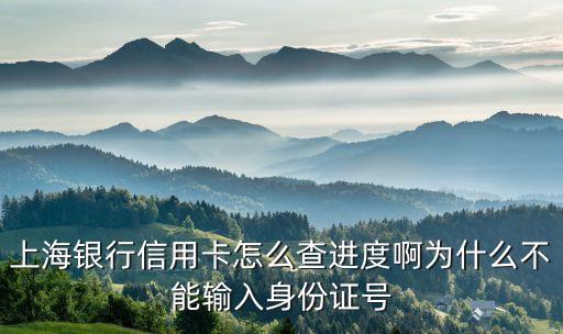 怎么查上海銀行信用卡申請(qǐng)進(jìn)度查詢，查詢上海銀行信用卡進(jìn)度