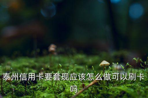 信用卡套信用卡怎么做，泰州信用卡要套現應該怎么做可以刷卡嗎
