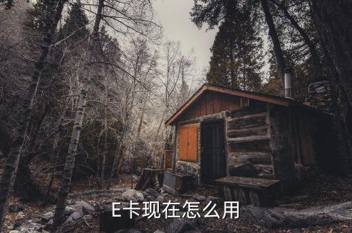 加油無量e卡怎么使用，E卡現(xiàn)在怎么用