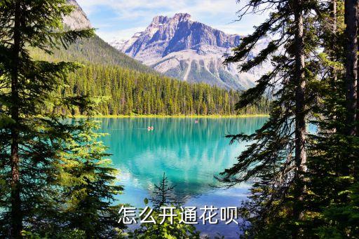 怎么開(kāi)通淘寶花唄額度是多少錢(qián)，淘寶螞蟻花唄如何開(kāi)通