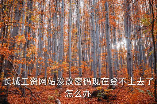 長(zhǎng)城工資網(wǎng)站沒(méi)改密碼現(xiàn)在登不上去了怎么辦