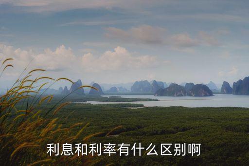 年利率和利息怎么劃分，利率同利息的區(qū)別
