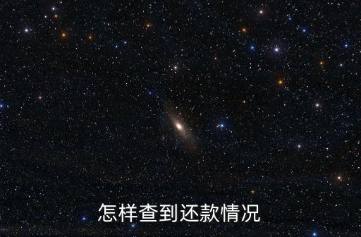 怎樣查到還款情況