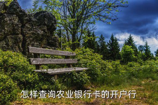 怎樣查詢農(nóng)業(yè)銀行卡的開戶行