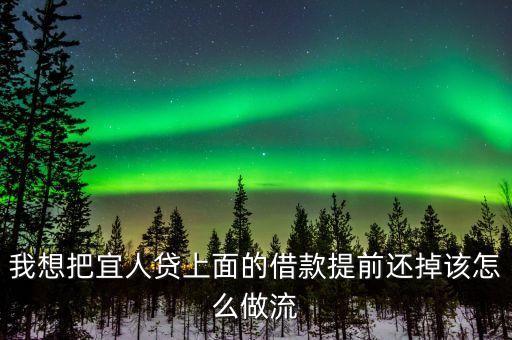 宜人貸怎么一次還清，我想把宜人貸上面的借款提前還掉該怎么做流
