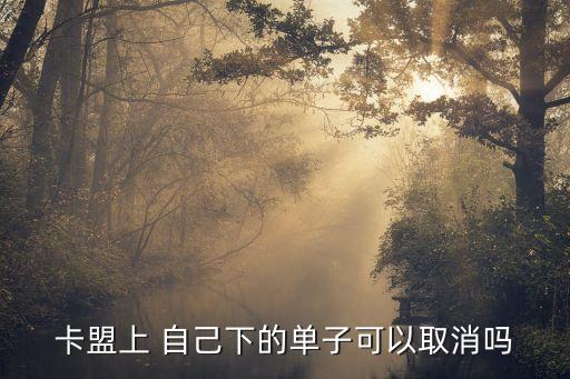 怎么取消訂單卡盟上面，卡盟網(wǎng)站怎么退單