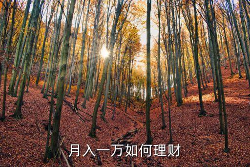 1w月薪怎么理財(cái)，如果每月收入一萬元如何理財(cái)
