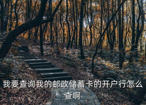 中國(guó)郵政怎么查開戶行，我要查詢我的郵政儲(chǔ)蓄卡的開戶行怎么查啊
