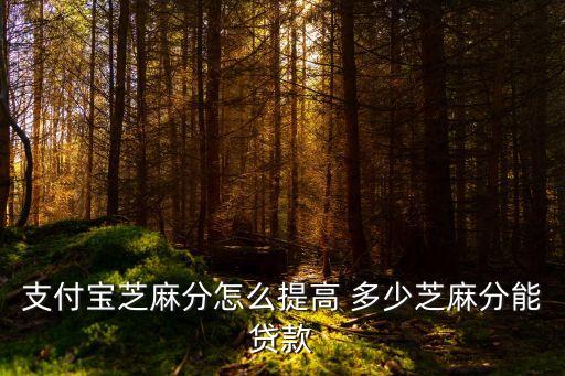 支付寶芝麻分怎么提高 多少芝麻分能貸款
