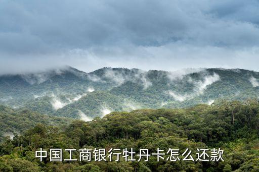 中國工商銀行牡丹卡怎么還款