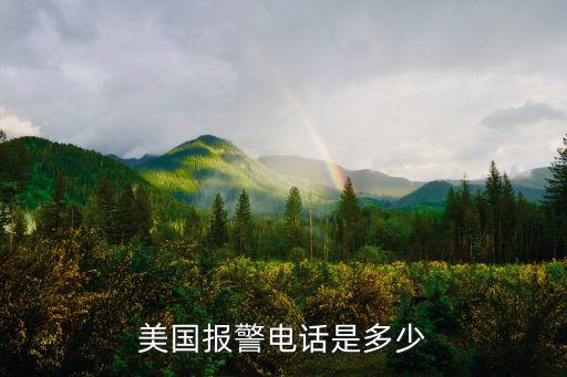 美國報警電話是多少