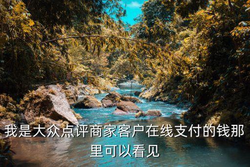 我是大眾點(diǎn)評(píng)商家客戶在線支付的錢(qián)那里可以看見(jiàn)