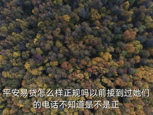 平安易貸上海有限公司怎么樣啊，平安易貸借貸公司怎么樣
