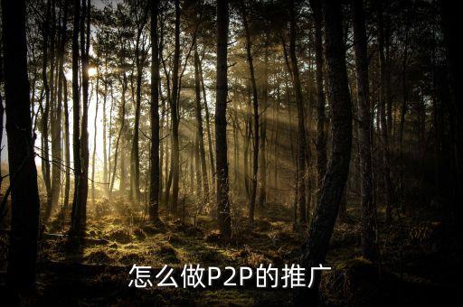 怎么做P2P的推廣