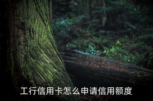 工行信用卡怎么申請信用額度