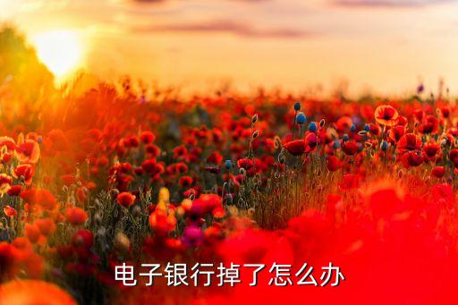 電子銀行掉了怎么辦
