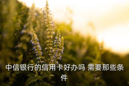 中信信用卡怎么好批嗎，中信的信用卡好批嗎