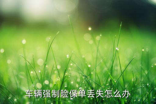 車輛強(qiáng)制險(xiǎn)保單丟失怎么辦