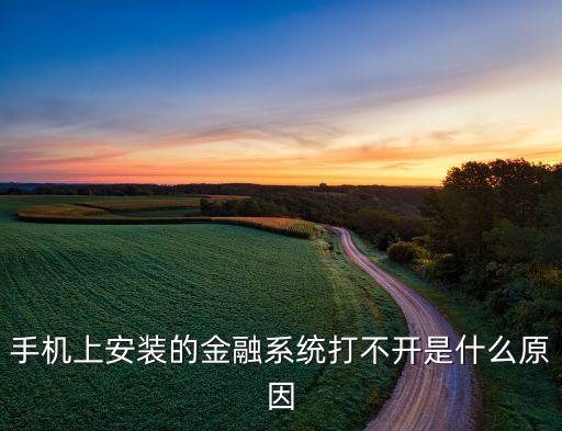 聯(lián)幣金融怎么打不開了，請問哪位朋友投資過聯(lián)融匯金為啥最近手機打不開網(wǎng)頁